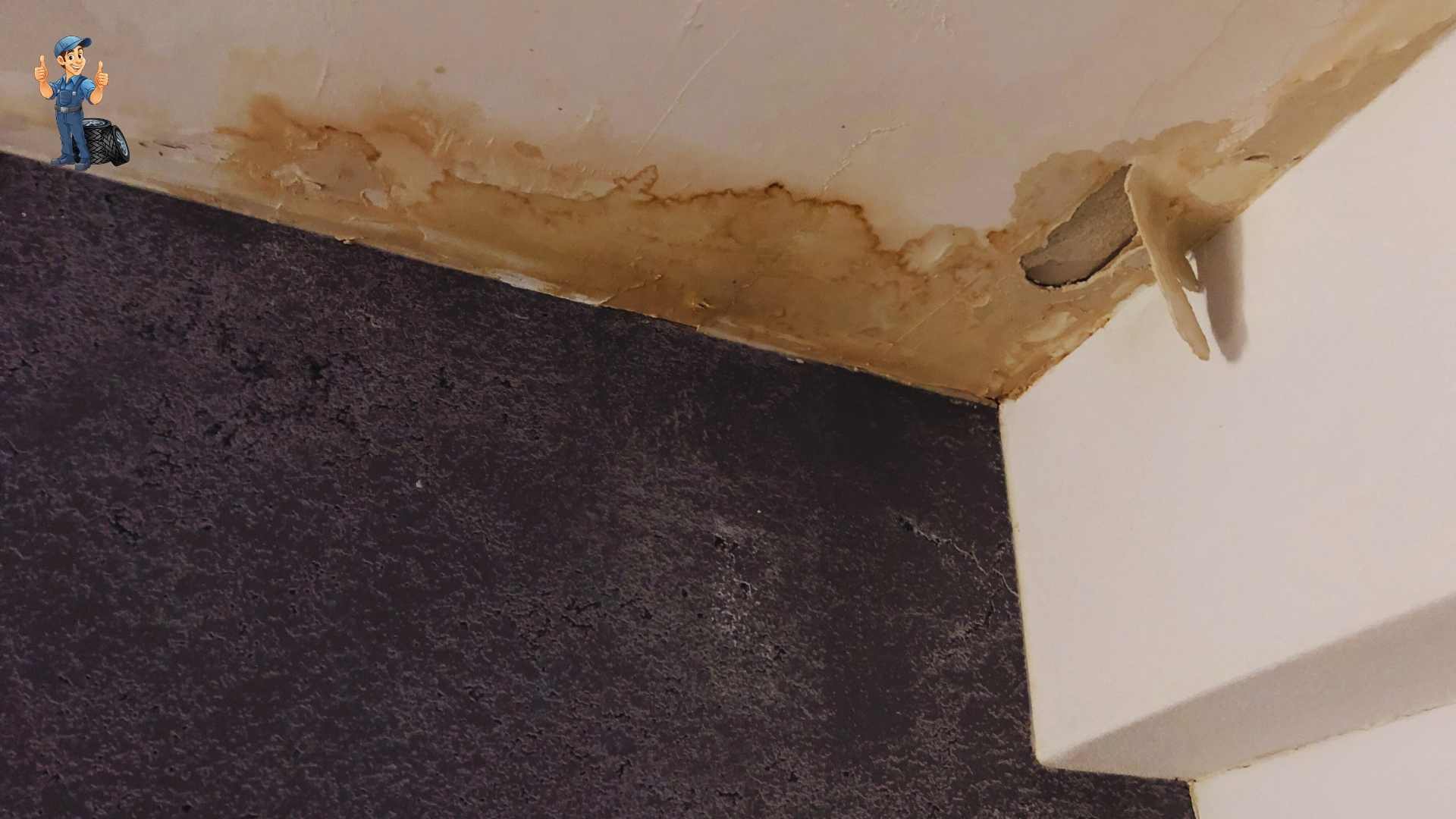 Government Building Water Damage Repair in Lexington Park, MD