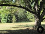 3942 Pine Needles Road | for Lease | Thumbnail 8