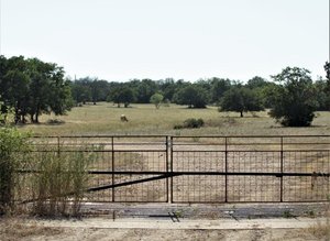Primary photo of 16380 Crows Ranch Road, Salado, TX