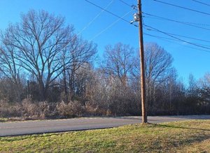 Primary photo of Wilson School Rd, Henderson, TN