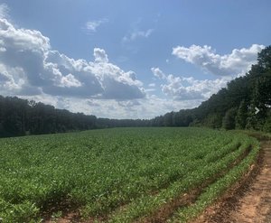 Photo of 976 Midway Rd