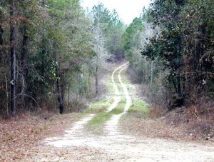 Primary photo of FL-20, Hosford, FL