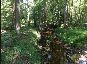 Primary photo of 229 Payne Pond Rd, Westville, SC