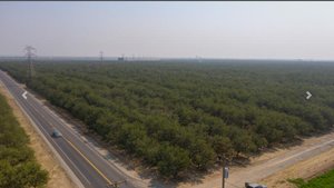 Photo of 7947 Le Grand Road