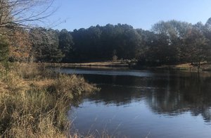 Photo of 231 County Road 1822