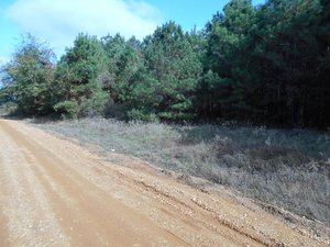 Photo of 486 County Road 106