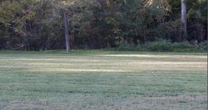 Primary photo of 4521 Soco Road, Maggie Valley, NC