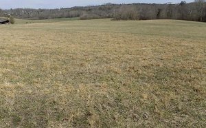 Primary photo of 101 Sumner Dr, Arden, NC