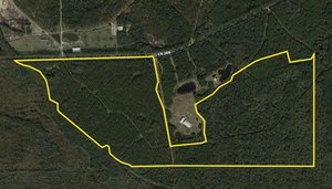 Photo of CR 13A  CR 208