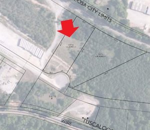 Photo of Technology Dr