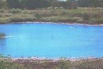 1 VZ County Rd 3815 | for Sale | Thumbnail 2