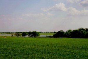 Primary photo of 0 FM 548, Forney, TX