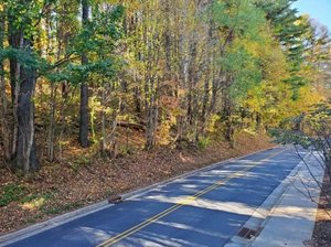 Primary photo of Faculty St, Boone, NC
