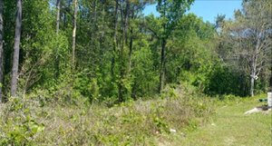 Photo of 5810 Covington Highway