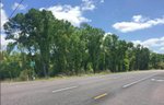 2010 E Pine Ave | for Sale | Thumbnail 3
