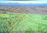 2463 Pea Ridge Road | for Sale | Thumbnail 2