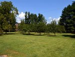 3229 Old State Highway 28 | for Sale | Thumbnail 3