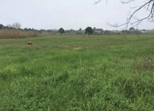 Primary photo of 2803 Overland Trail, Dickinson, TX