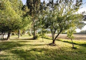 Primary photo of 15687 Isleton Road, Isleton, CA