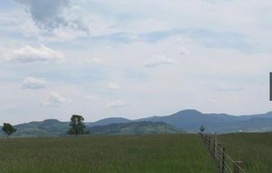 Photo of Kellem Lane