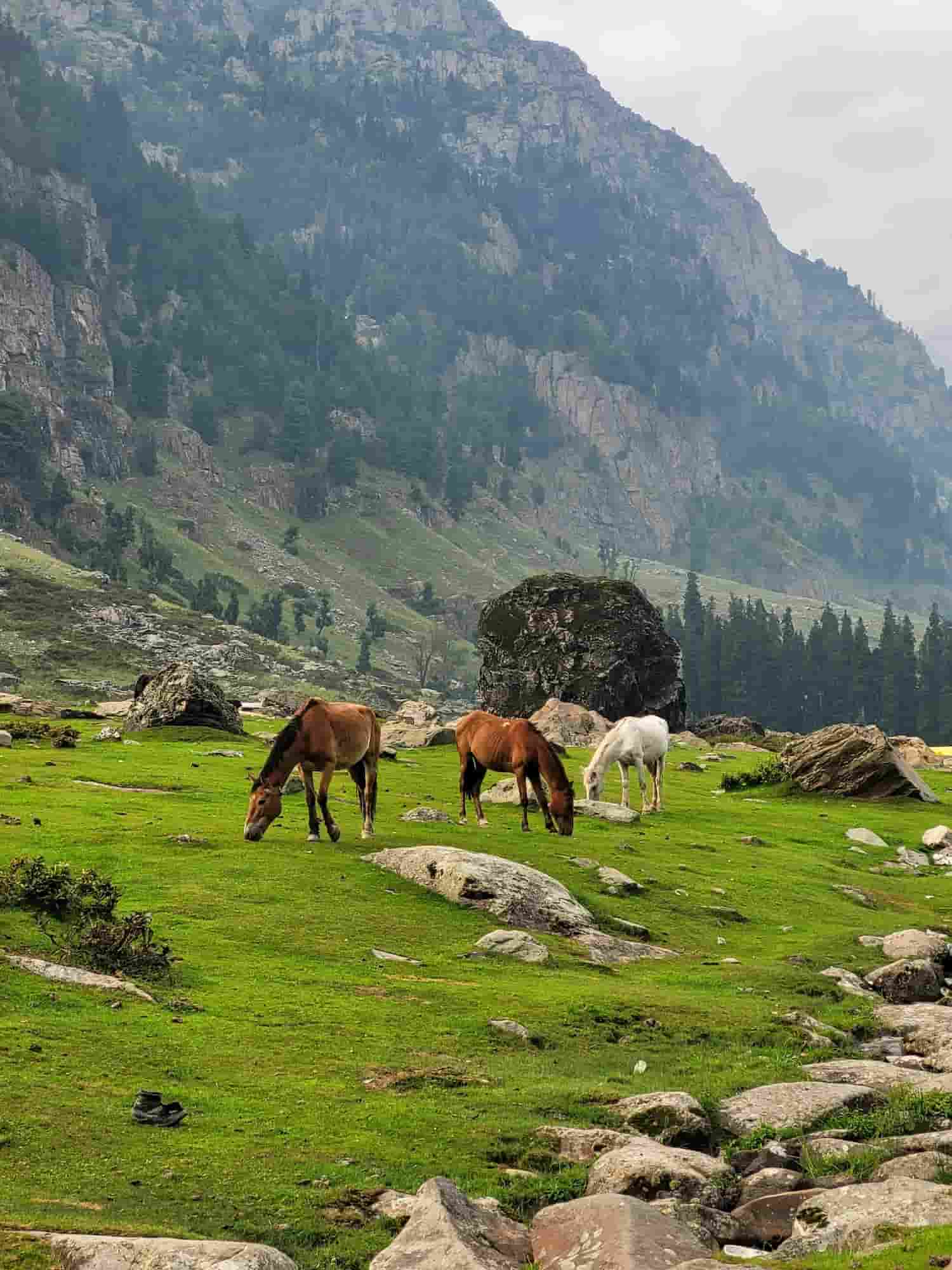 Kashmir Express
