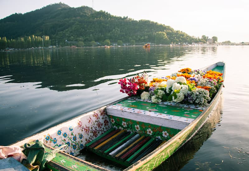 Dal Lake Water