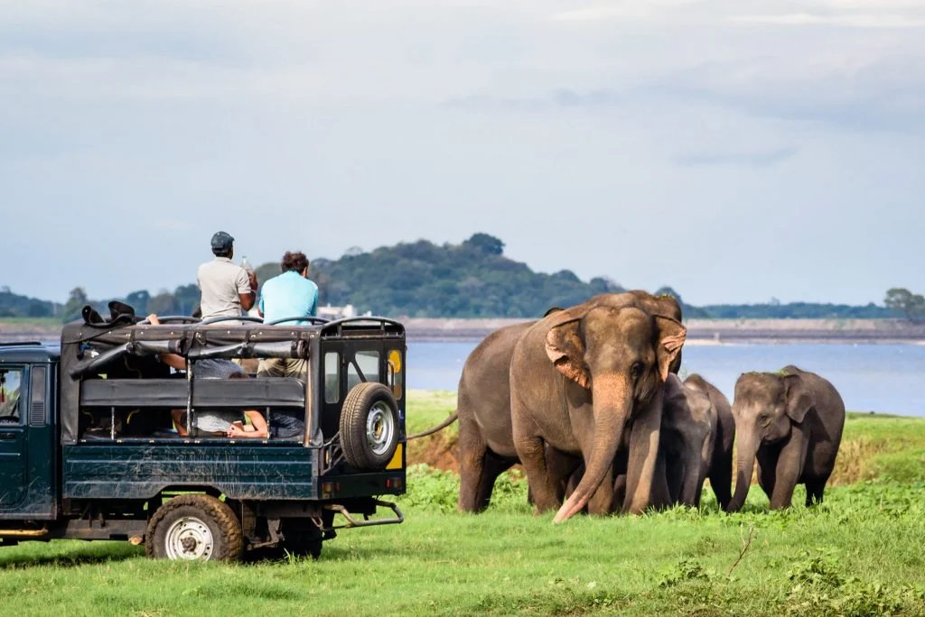 15 Colombo Tourist Mistakes and How to Avoid Them