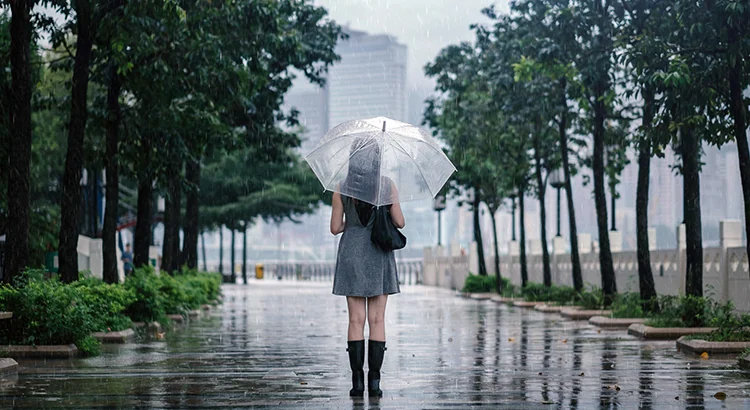 15 Things to Do in Singapore on a Rainy Day