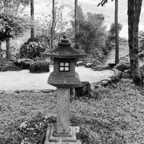 A picture of an ashram garden