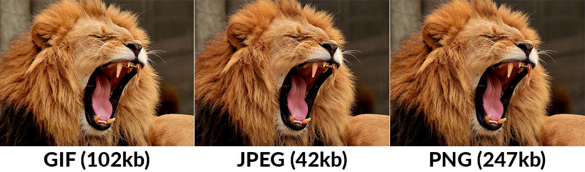 gif vs jpeg vs png