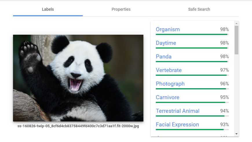 google vision api demo for image seo