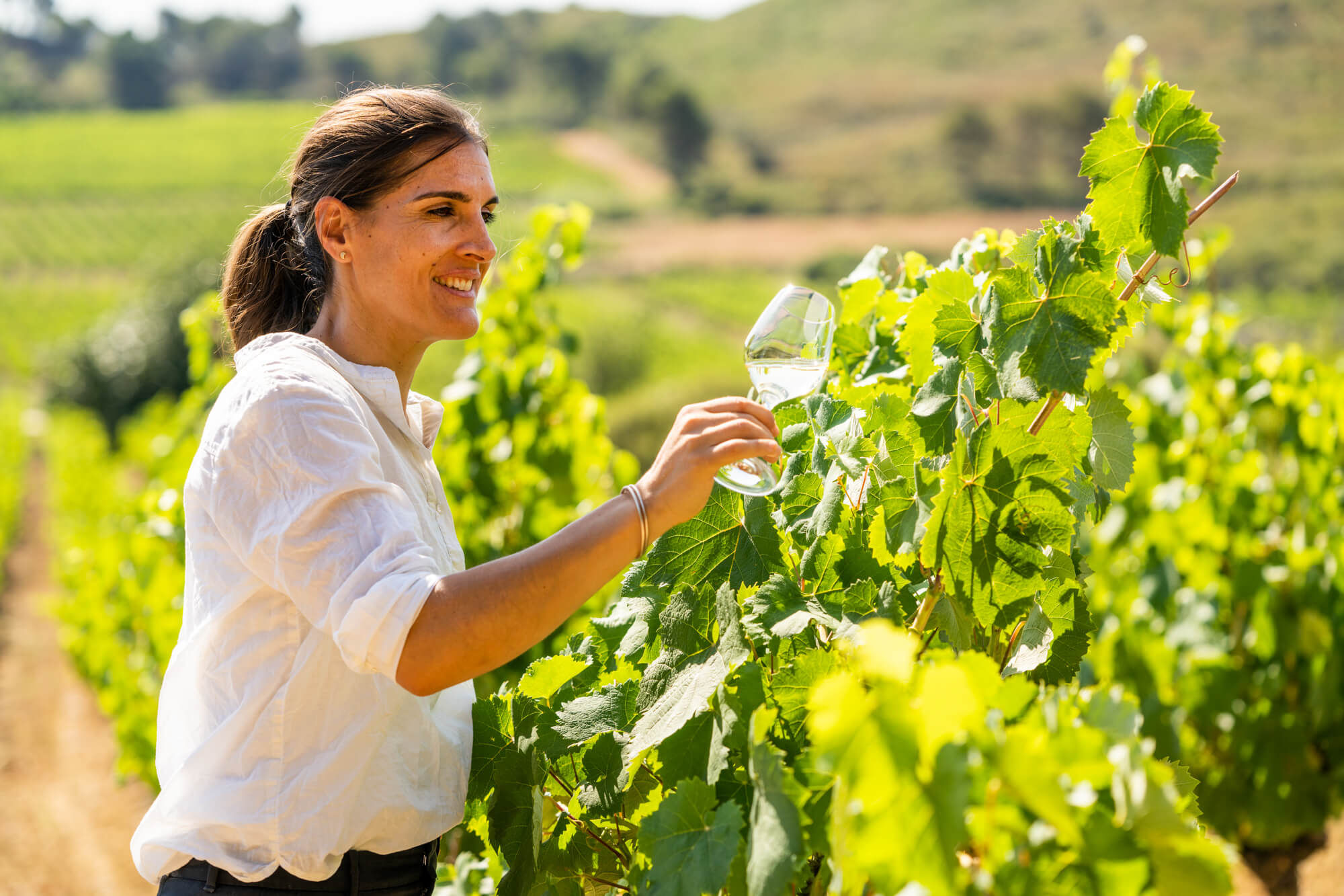 Marie Julian Dans les vignes Mythique vins