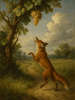 Cover of The fox and the grapes