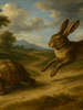 Cover of The tortoise and the hare