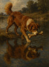 Cover of The Dog & His Reflection