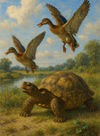Cover of The Tortoise & the Ducks