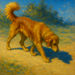 The Dog and the Shadow