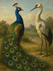 Cover of The Peacock and the Crane