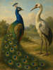 Cover of The Peacock and the Crane