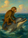 Cover of The Monkey and the Dolphin
