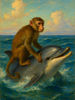 Cover of The Monkey and the Dolphin