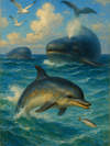 Cover of The Dolphins, the Whales, and the Sprat