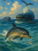 Cover of The Dolphins, the Whales, and the Sprat