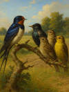 Cover of The Swallow and the Other Birds
