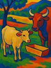 Cover of The Heifer and the Ox