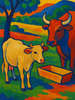 Cover of The Heifer and the Ox