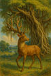 The Banyan Deer