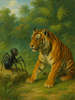 Cover of Anansi and Tiger