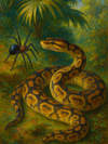 Cover of Anansi and the Python