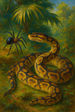 Anansi and the Python